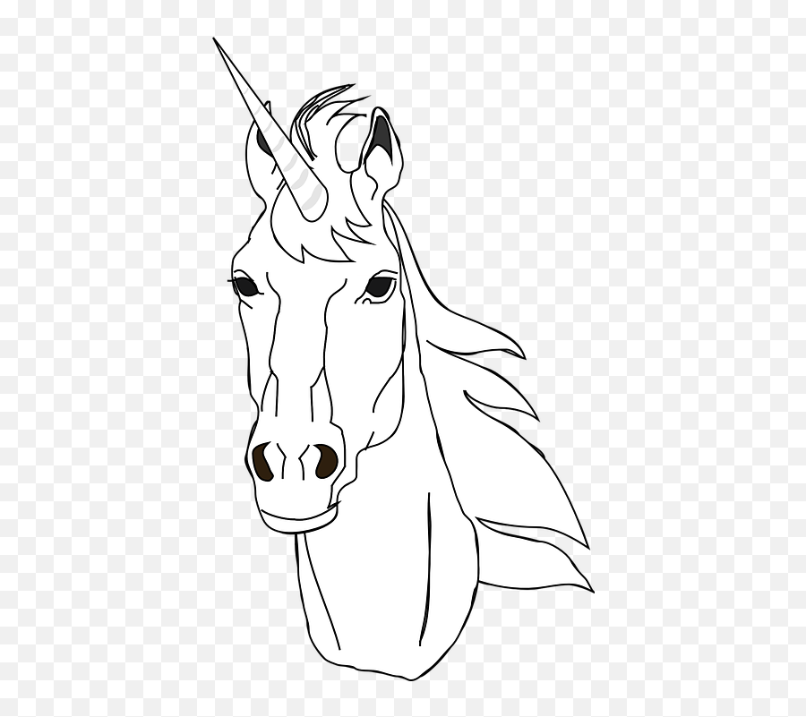 Unicorn Head Horn - Free Vector Graphic On Pixabay Unicornio Cabeça De Frente Png,Unicorn Head Png