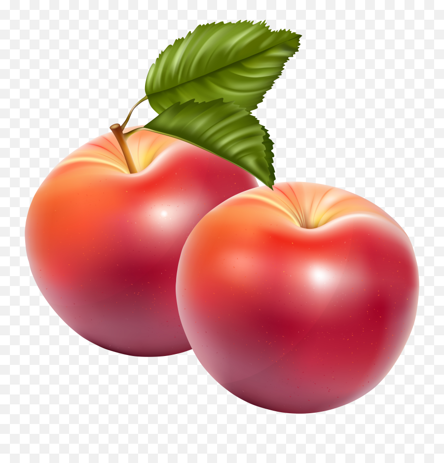 Apple Fruit Png Image All - Free Clip Art Apples,Apple Png