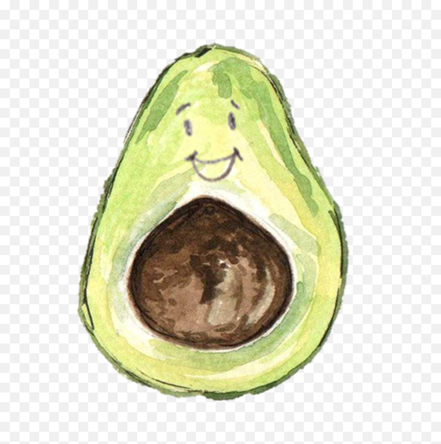 Download Hd Avocado Png Transparent - Avocado Png Transparent Drawing,Avocado Transparent