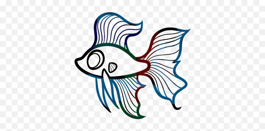Aannies Betta World U2013 Premium Quality Fish Online - Draw A Betta Fish Png,Betta Fish Png