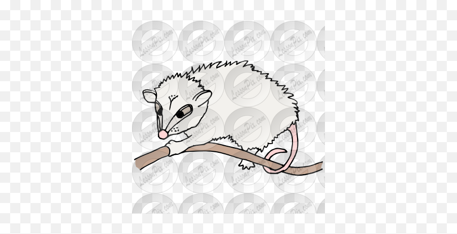 Lessonpix Mobile - Opossum Png,Possum Transparent