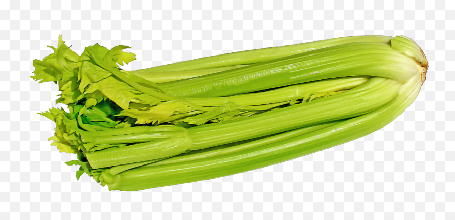 Green Celery Png Image - Celery With Transparent Background,Celery Png