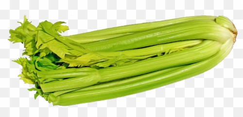 Green Celery Png Image - Celery With Transparent Background,Celery Png