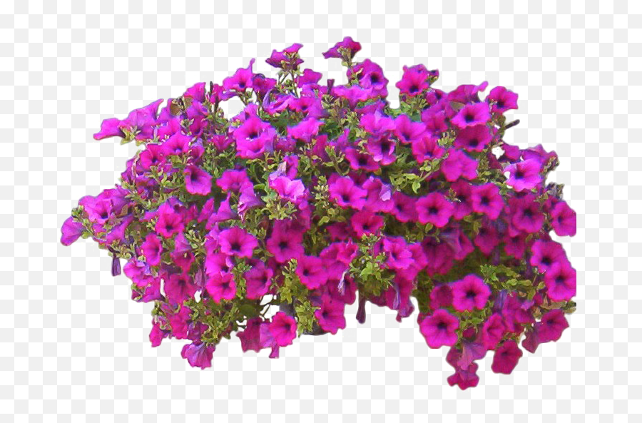 Bushes Flower Png Clipart Background - Flower Bush Png,Flower Bush Png
