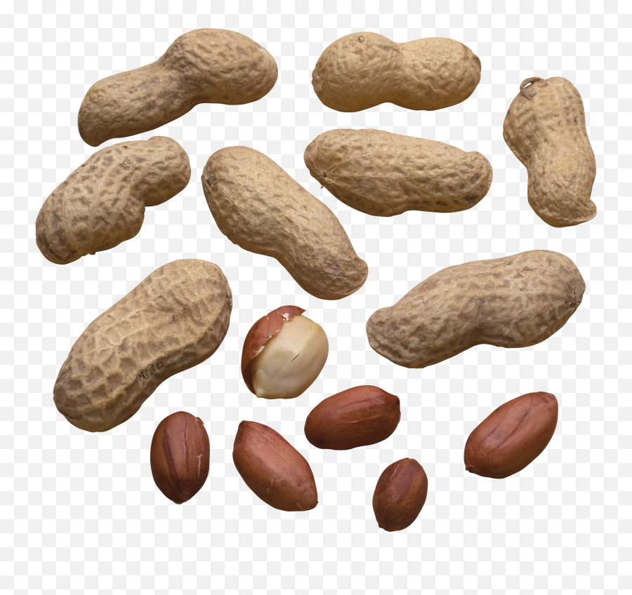 Peanut Png - Peanuts Scattered,Peanut Png