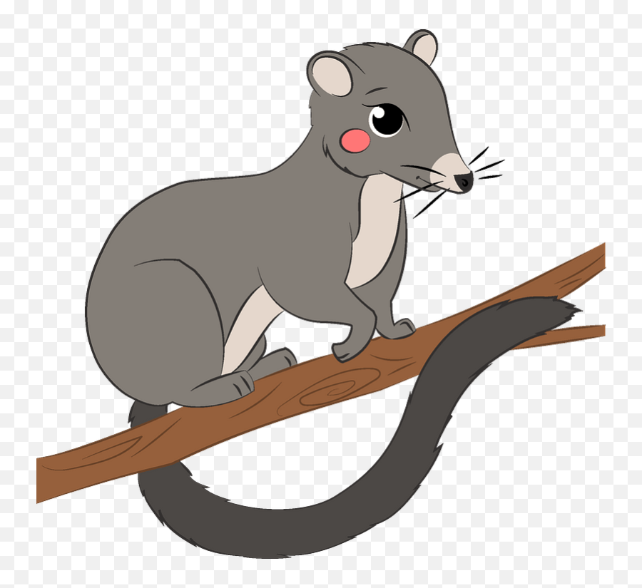 Clipart - Mouse Png,Possum Png