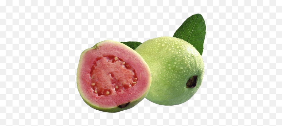 Yebbi - Myrtaceae Fruits Png,Guava Png