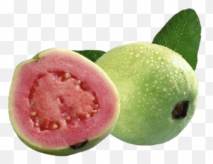 Yebbi - Myrtaceae Fruits Png,Guava Png