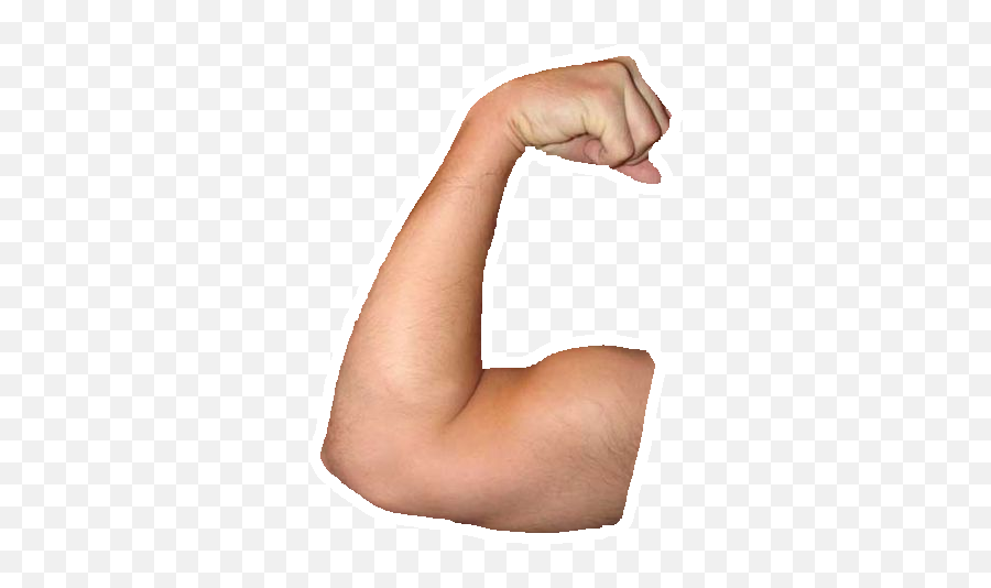 Download Hd Arm Muscle Png - Muscles Arm Png,Arm Transparent