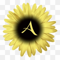 Monica Michielin Alfabetos Alfabeto De Margarida Dourada - Clip Art Png,Daisies Png