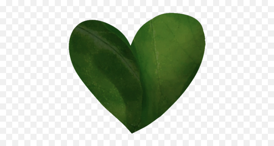 Cropped - Icon2png Gwalia Farm Heart,Instagram Heart Icon Png