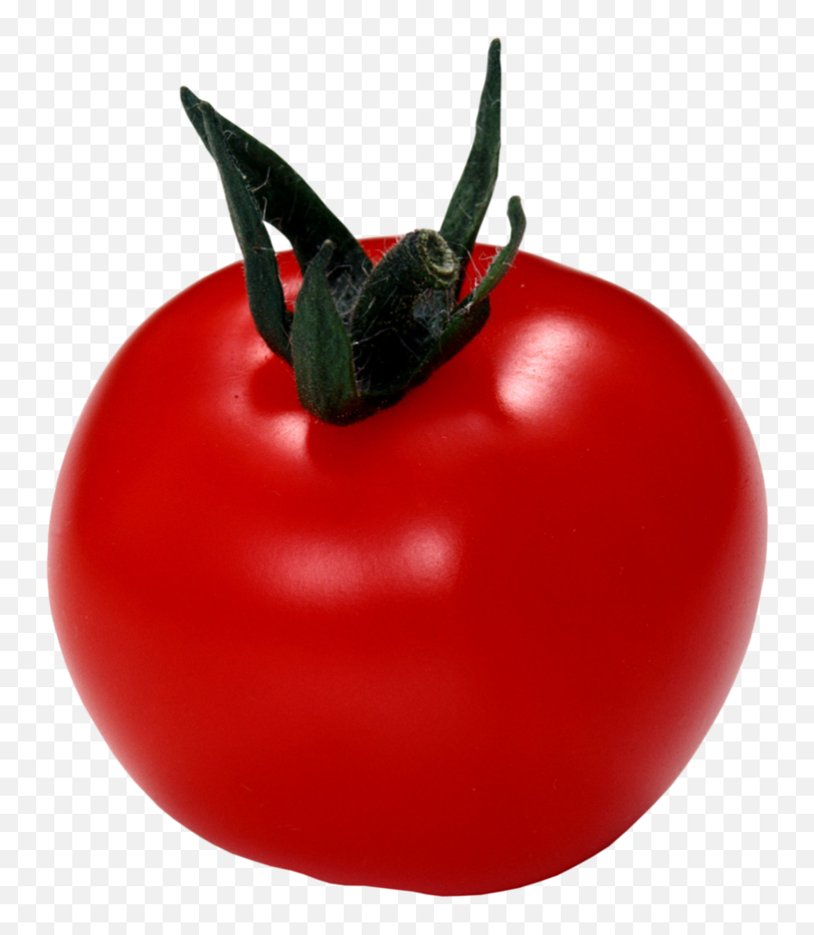 Download Free Png Background - Tomatotransparent Dlpngcom Cherry Tomato,Tomato Transparent Background