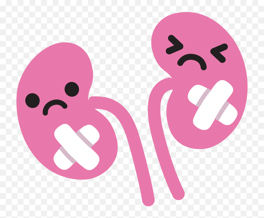 Home - Kidney Sick Icon Png,Kidney Png
