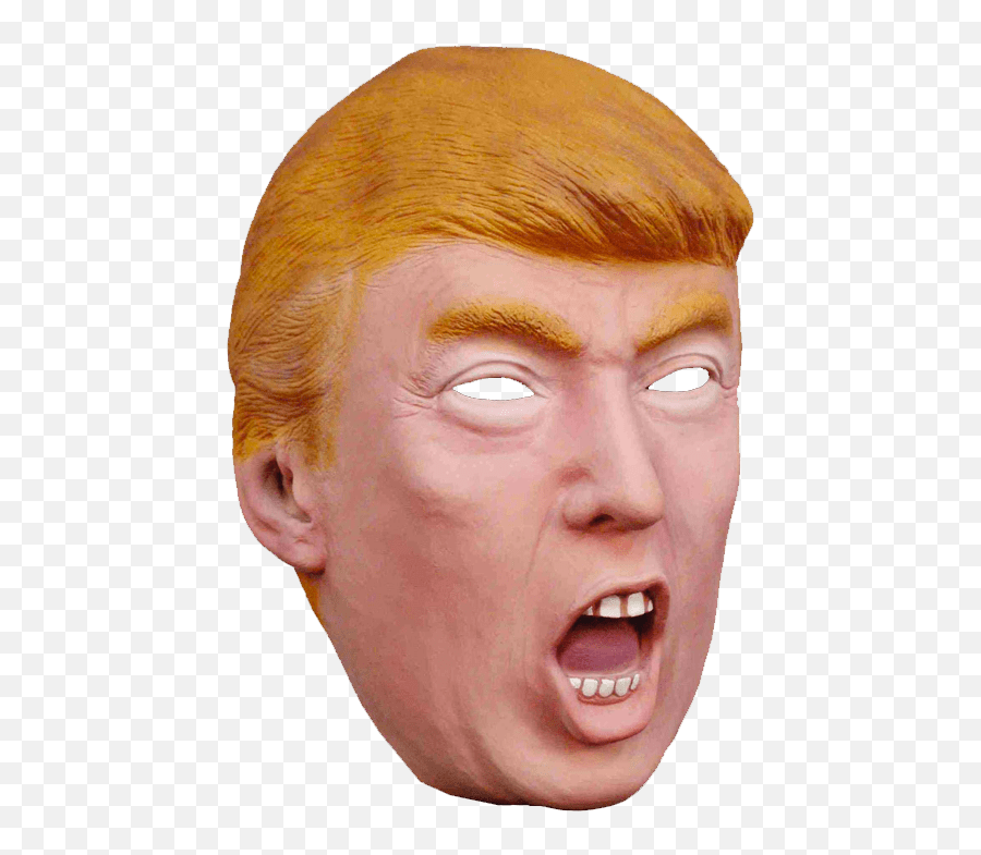 Donald Trump Fantasy Mask Transparent - Things You Should Buy Png,Trump Head Transparent Background