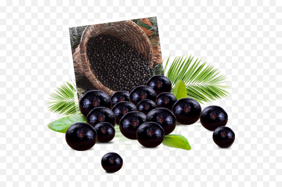 Acai Berry Png Transparent Images - Acai Berry Free Png Download,Berry Png