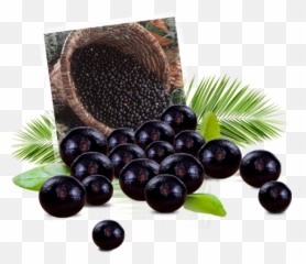 Acai Berry Png Transparent Images - Acai Berry Free Png Download,Berry Png