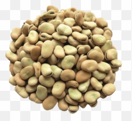 Beans Vector Dried - Fava Beans Png Transparent Cartoon Fava Beans Png,Beans Png