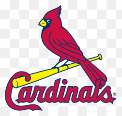 St - St Louis Cardinals Png,Cardinal Baseball Logos