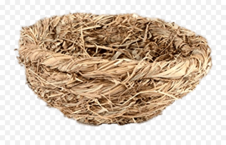 Straw Bird Nest Transparent Png - Bird Nest Png,Nest Png