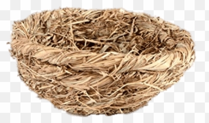 Straw Bird Nest Transparent Png - Bird Nest Png,Nest Png
