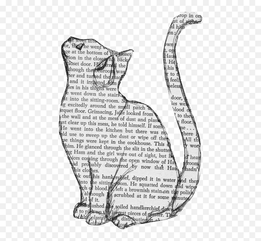 Download Transparent Cat Image - Transparent Cat Png,Cat Outline Png