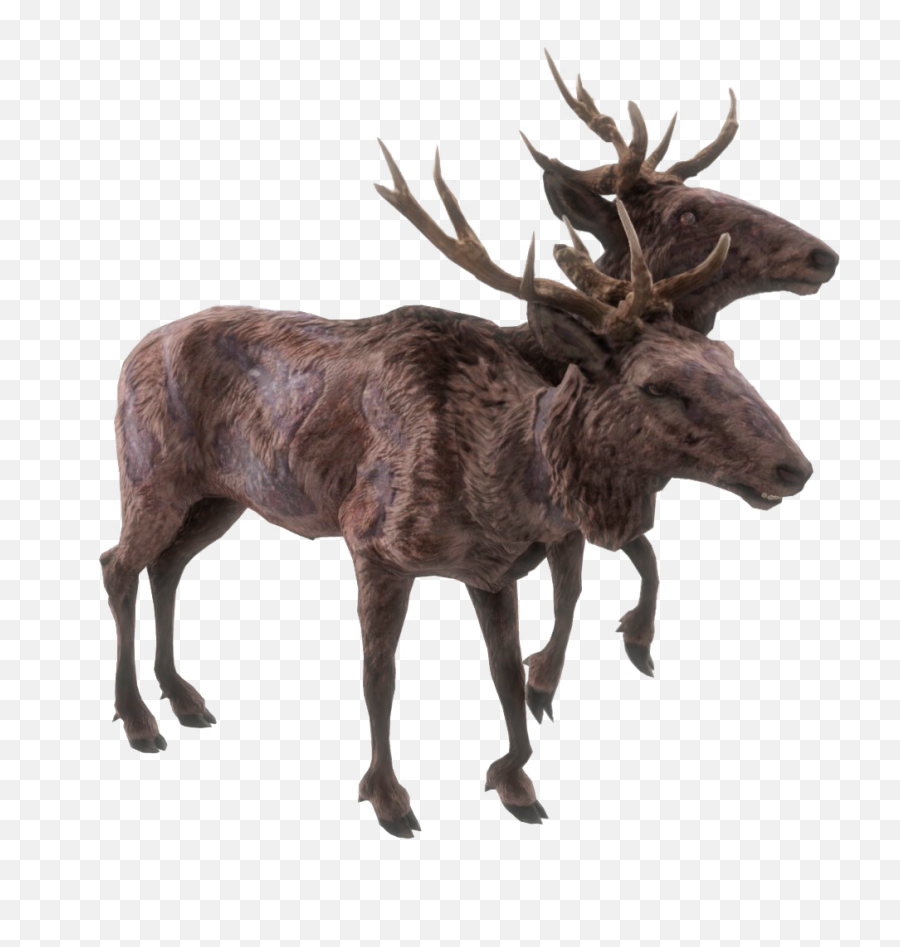Hd Deer - Radstag Meat Fallout 76 Png,Doe Png