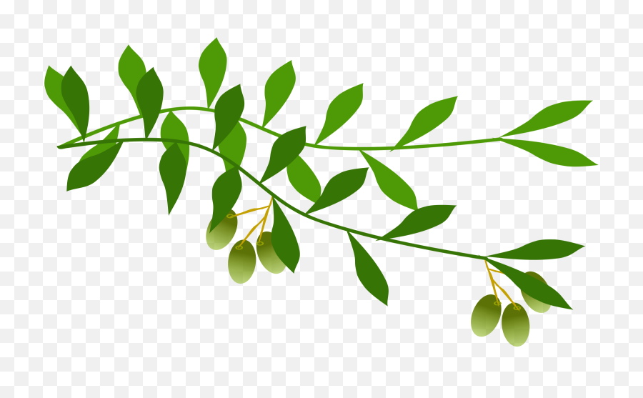 Olive Branch Free Clip Art Png Image - Olive Branch Clipart Png,Branch Png