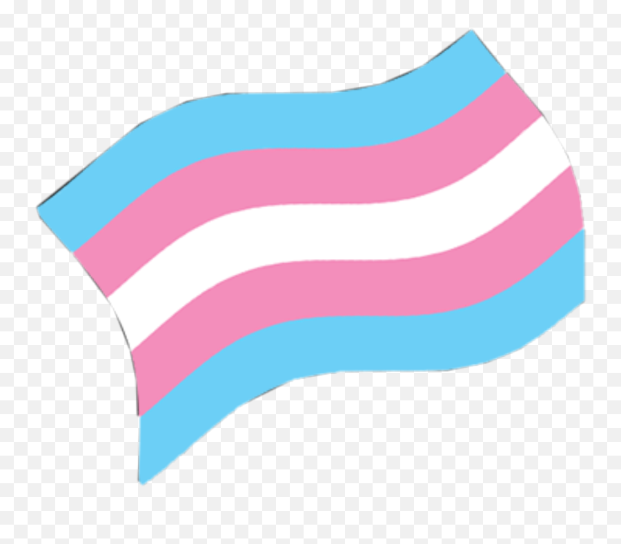 Lgbt Sticker By Pear - Vertical Png,Transgender Flag Icon