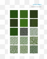 Dosch Design - Textures Grass Surfaces png