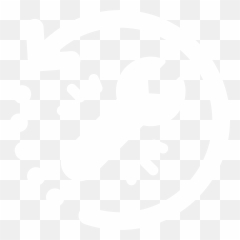 Rems Ta Center Website - Data Recovery png