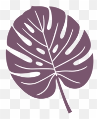 Leaf Png U0026 Svg Transparent Background To Download - Laceleaf