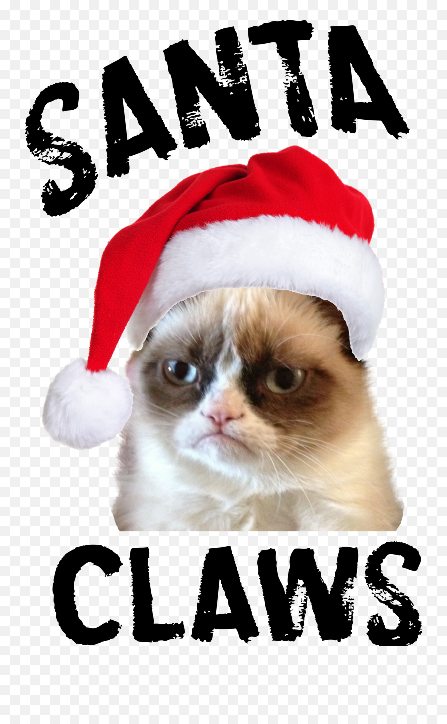 Grumpy Cat Posters Teeshirtpalace - Photo Caption Png,Grumpy Cat Icon