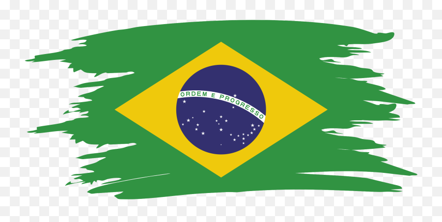 International Students - Other Languages Csn Flag Of Brazil With Name Png,Brazil Flag Icon