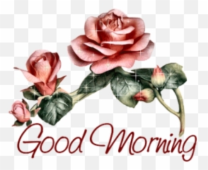 Good Morning Evening Night Png