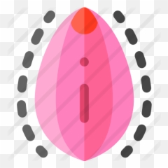 Vagina - Free healthcare and medical icons png