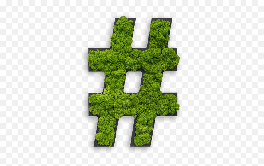 Pictogram Special Symbol Hashtag Reindeer Moss - Hashtag Png,Moss Png