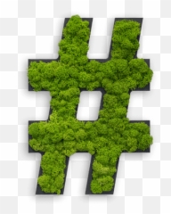 Pictogram Special Symbol Hashtag Reindeer Moss - Hashtag Png,Moss Png