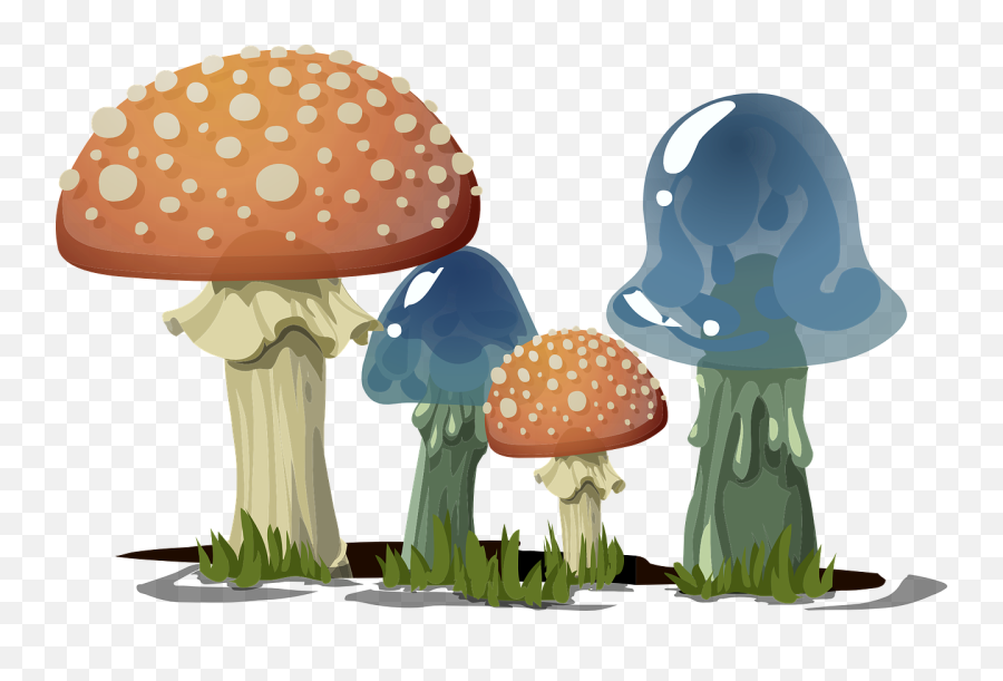 Mushrooms Toadstools Fungi - Free Vector Graphic On Pixabay Png,Mushroom Png