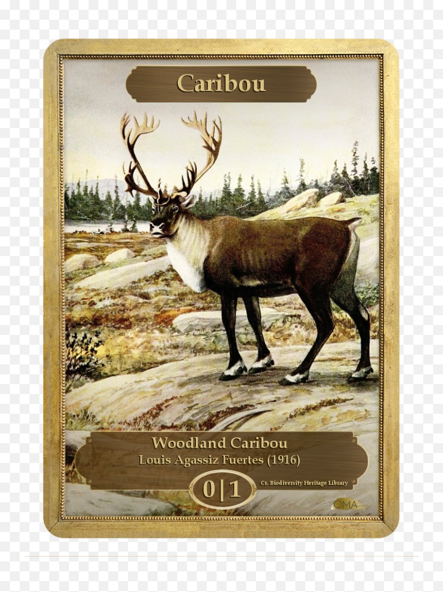 Caribou Token 01 By Louis Agassiz Fuertes - Mtg Caribou Token Png,Caribou Png