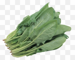 Green Leaves Clipart Spinach Leaf - Leafy Vegetables Png