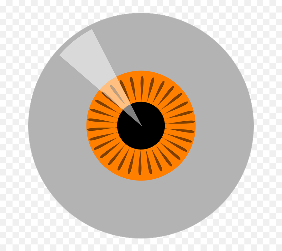 Eyeball Iris Orange - Free Vector Graphic On Pixabay Vector Graphics Png,Shiny Eyes Png