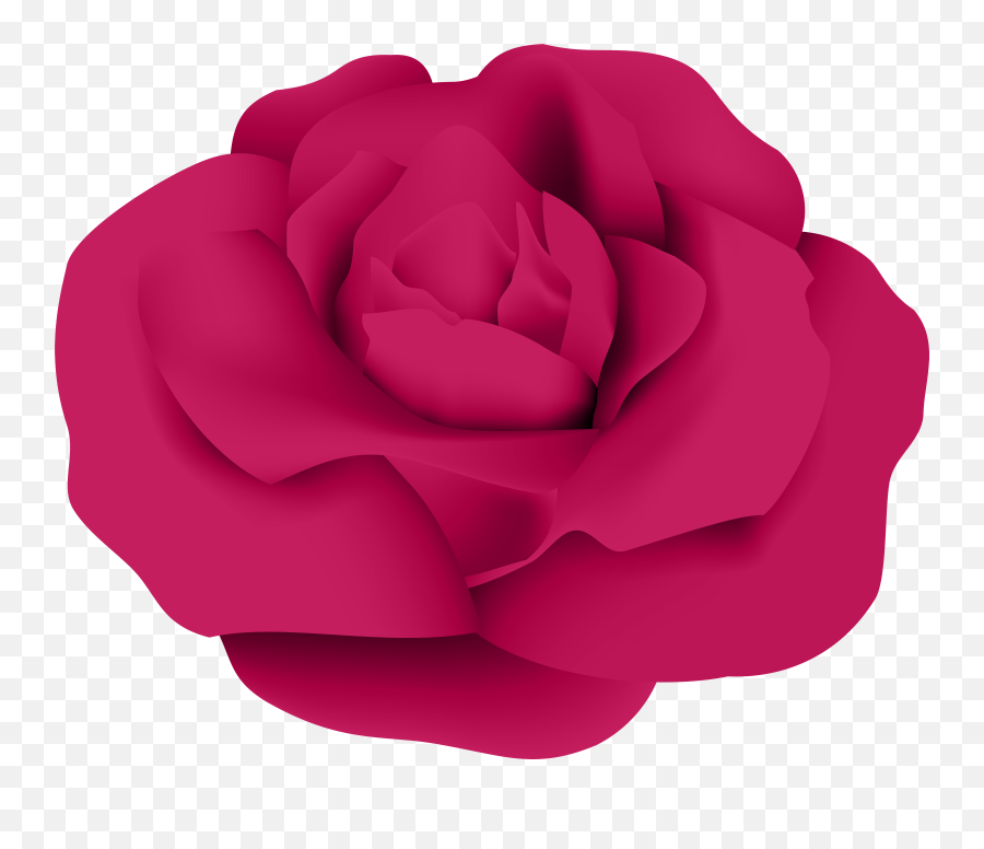 Garden Roses Centifolia Clip Art - Dark Pink Rose Png,Pink Roses Png