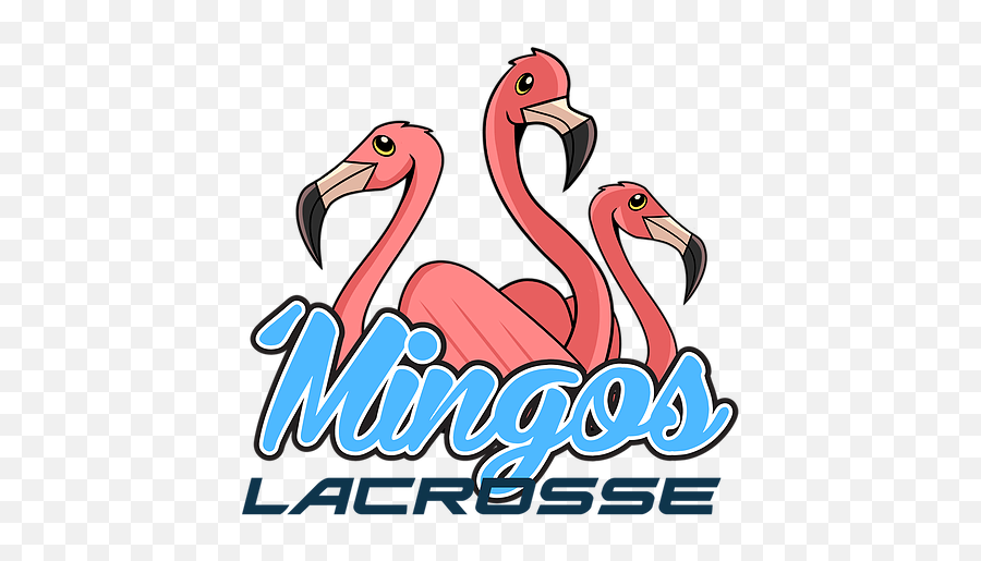 About Mingos Lacrosse L4 - Greater Flamingo Png,Lacrosse Png