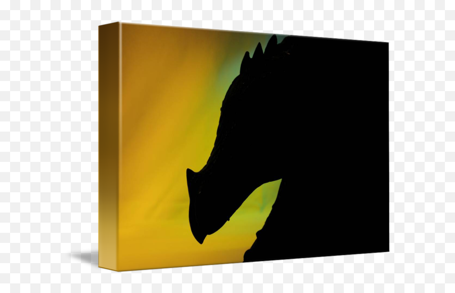 Dragon Silhouette By James David Meacham - Cat Png,Dragon Silhouette Png