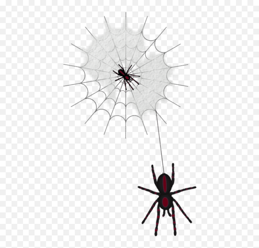 Halloween Web With Spiders Png Images - Clip Art,Spiders Png