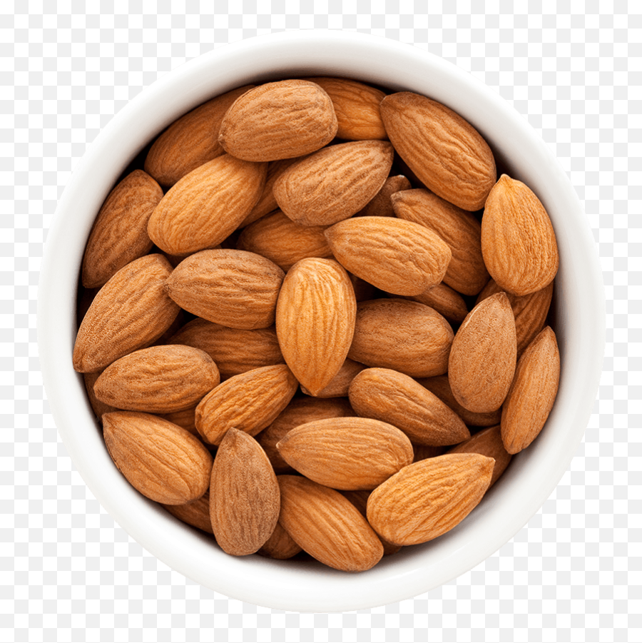 Almonds Png - Almonds In Bowl Png,Almond Transparent