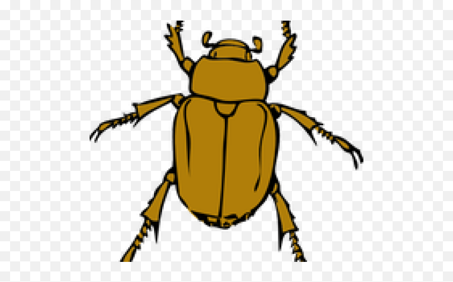 Dead Bug Cliparts - Beetle Clip Art Png,Transparent Bug