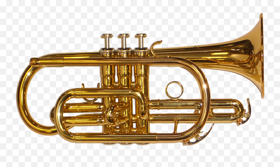 Brass Band Instrument Png Transparent - Brass Instruments Png,Instruments Png