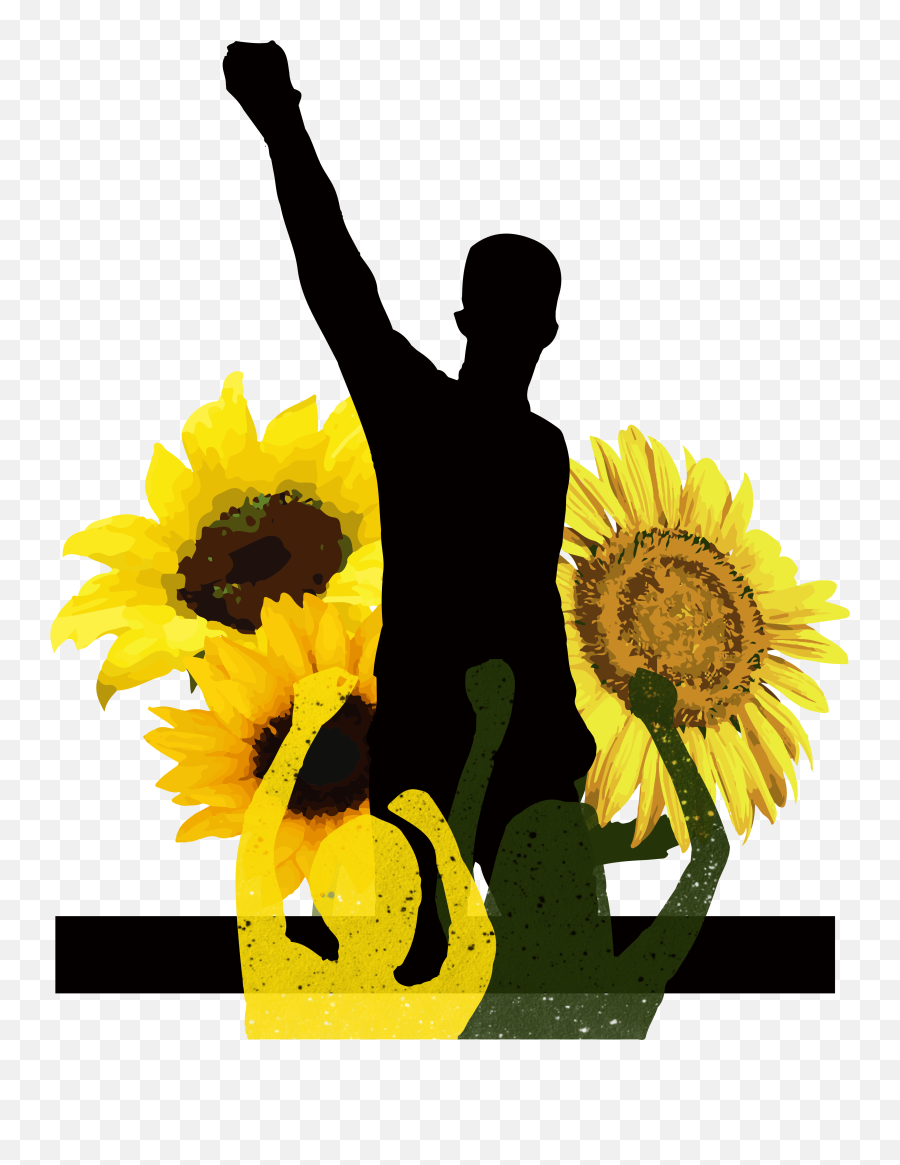 Tyler The Creator - Sunflower Png,Tyler The Creator Png