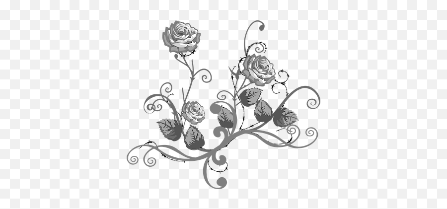 White Rose Illustrations - Black White Flower Png,White Rose Transparent